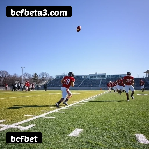 Imagem secundária de apoio para instalação do app bcfbet